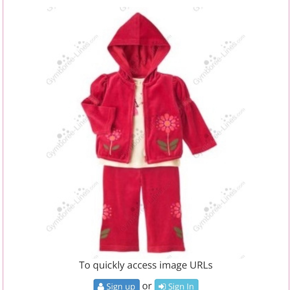 Vintage Gymboree 2006 Peruvian doll line - flower appliqué velour pant